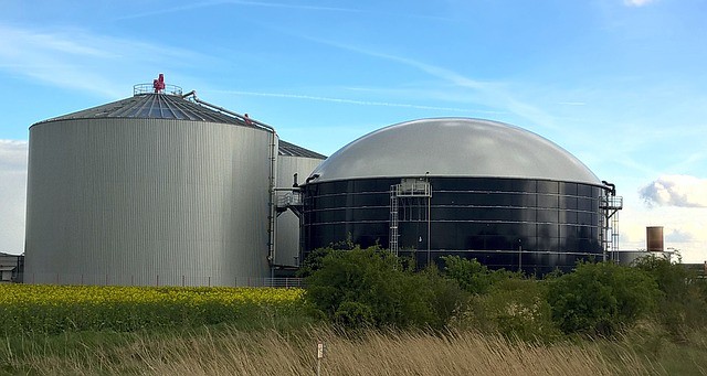 arundo-biogas-power-plant